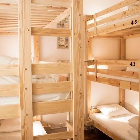 Nest House