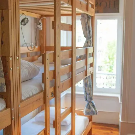 Nest House