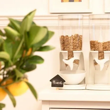 Albergue Nest House Lisboa