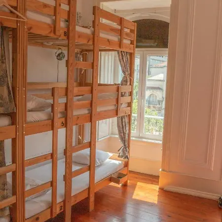 אכסניה Nest House